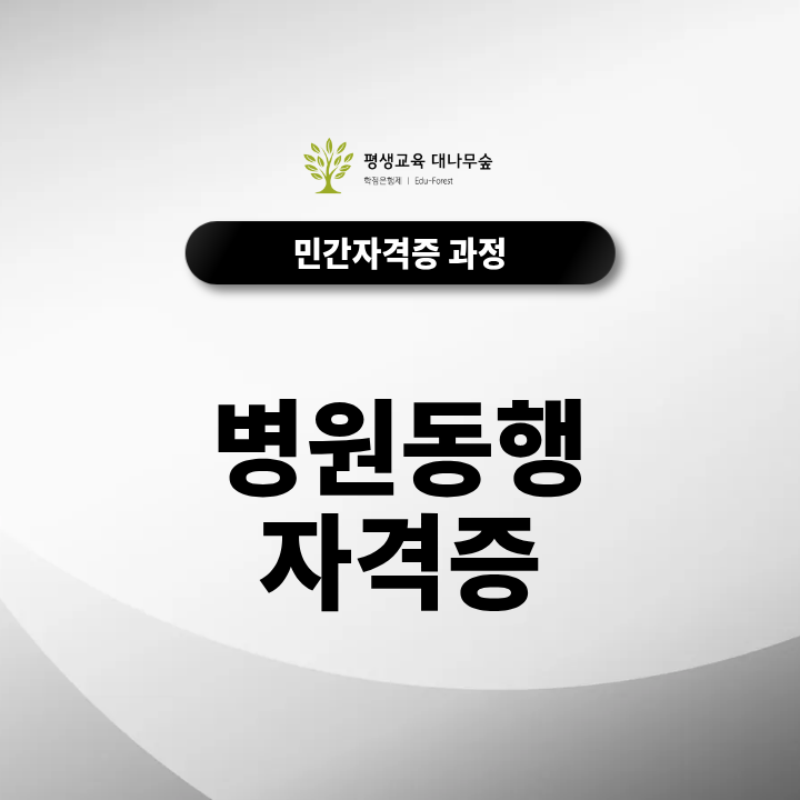 병원동행 자격증 필요할까? 요양보호사·사회복지사 차이점 분석 썸네일