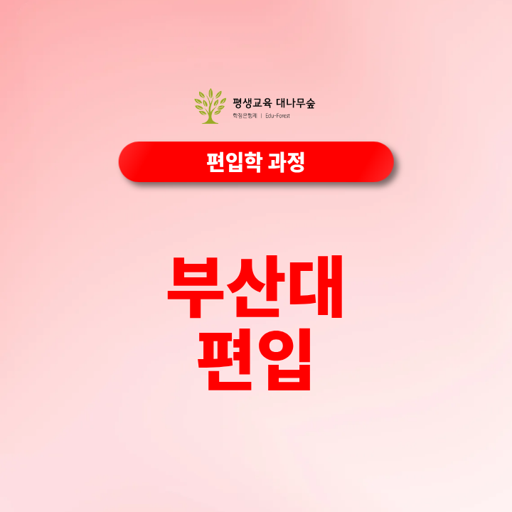 부산대 편입 준비, 지원조건부터 학점은행제 활용방법까지 썸네일