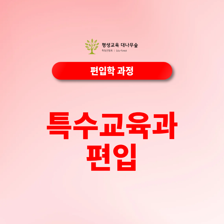 특수교육과편입 후 특수교사 자격증 취득이 가능할까? 썸네일