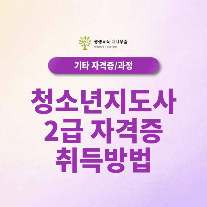 청소년지도사2급 자격증, 시험 없이 준비할 수 있을까? 2027년 기준 개정법 총정리 썸네일