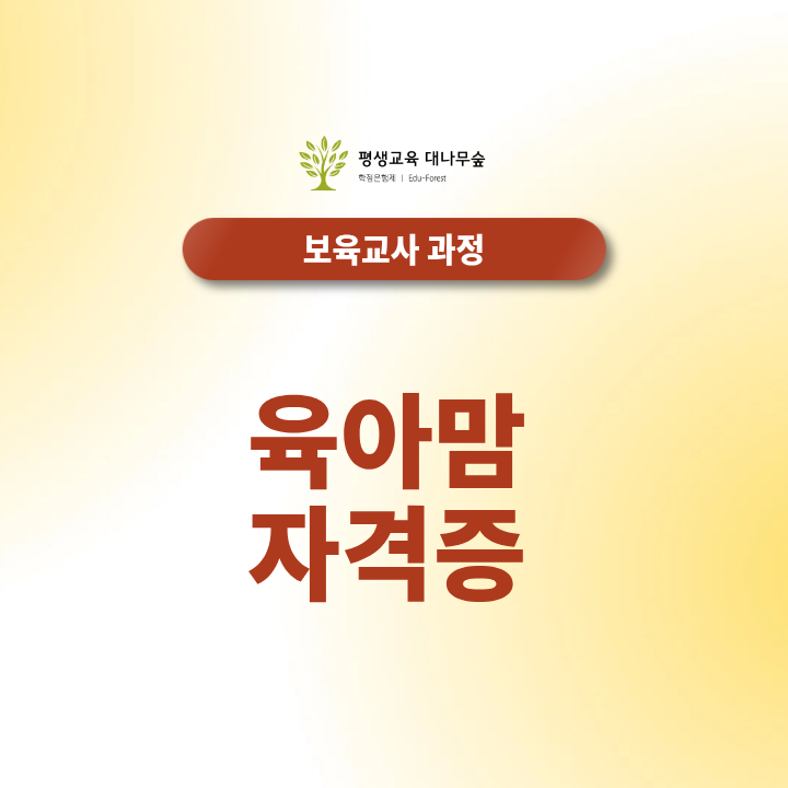 육아맘 자격증, 집에서 준비하고 재취업 성공하는 법 썸네일