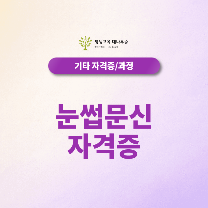 눈썹문신 자격증 취득방법 2027 , 문신사 면허 국가시험과 종합미용면허증까지 준비해야 할까? 썸네일