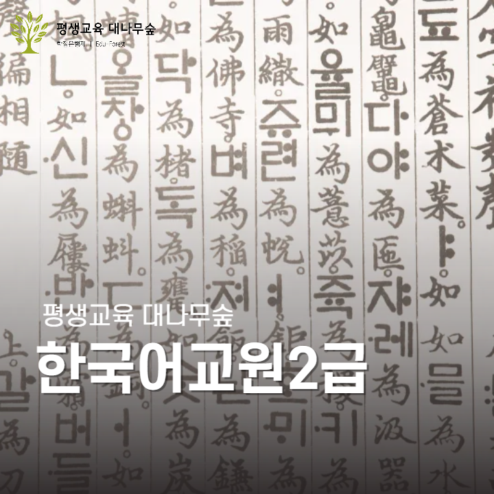 한국어교원2급 썸네일