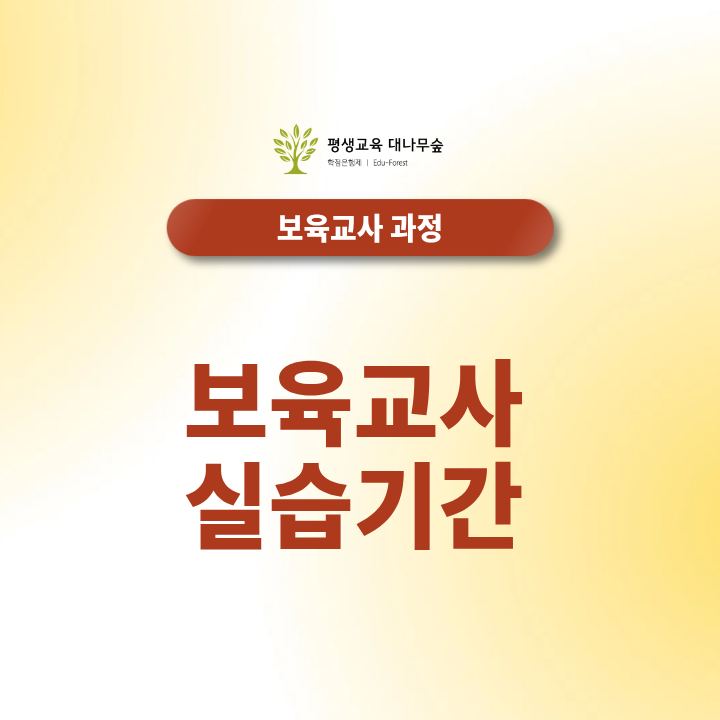 보육교사 실습기간 240시간 일수 계산 및 평일 연속 실습 기준 썸네일
