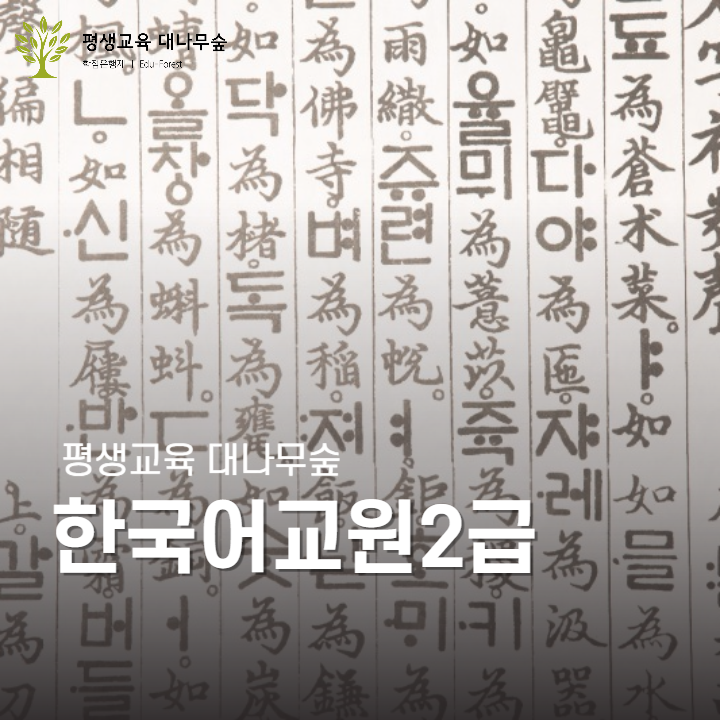 한국어교원2급 썸네일