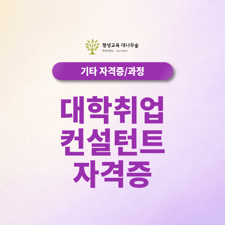 대학취업컨설턴트자격증 취업처 전망 온라인 수강방법 취득기간 발급비용은 어떻게 확인하나요? 썸네일