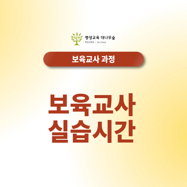 보육교사 실습시간 240시간 채우기: 기관 선정부터 인정 기준까지 썸네일