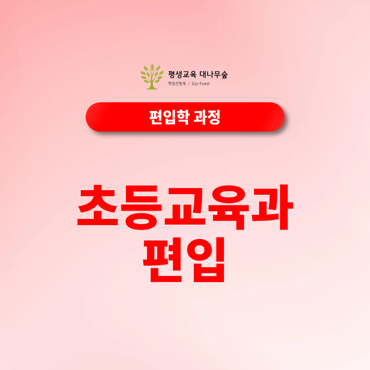 초등교육과 편입 조건, 일반대학 출신도 지원할 수 있을까? 썸네일